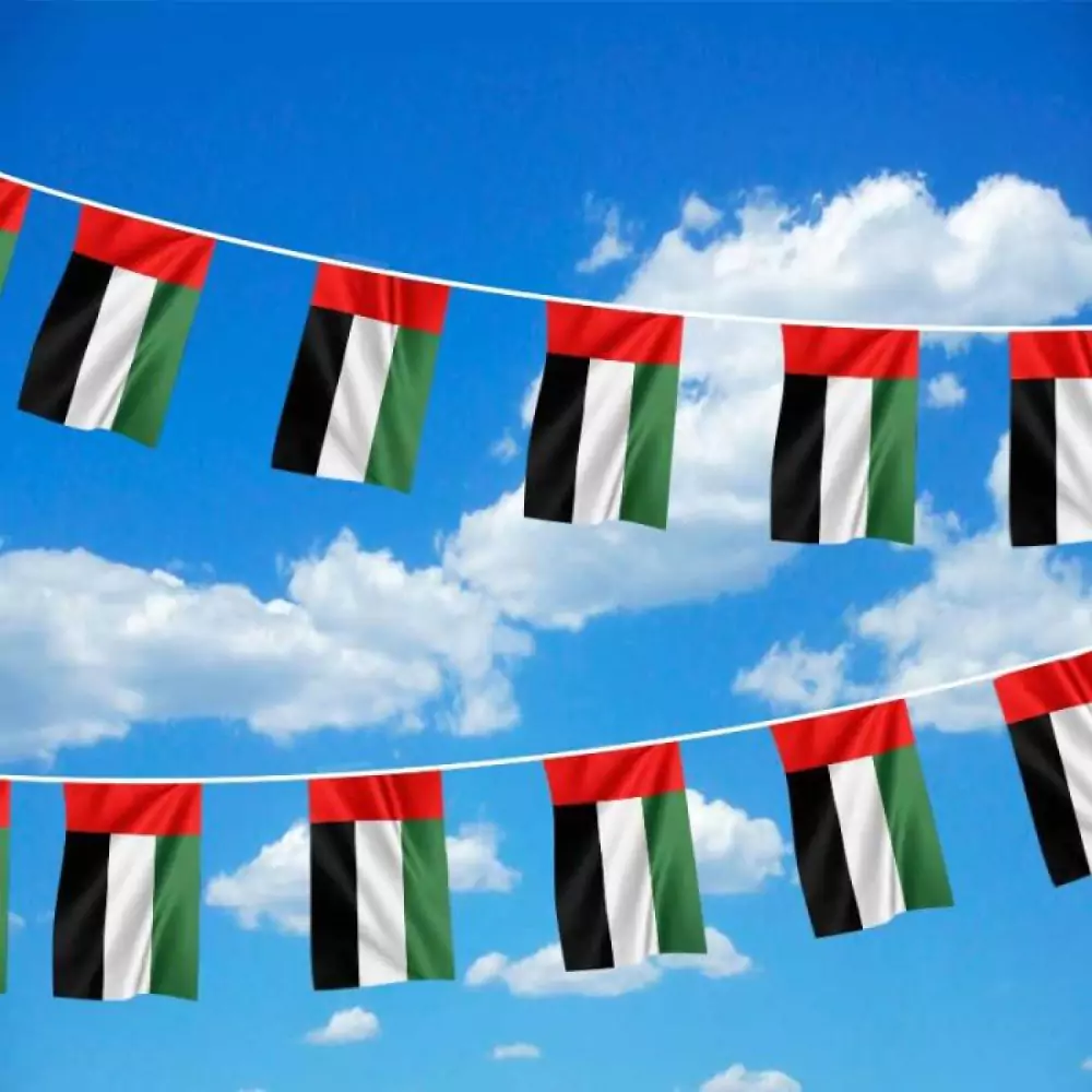 UAE String Flags and Flag Bunting 32Pcs - Image 2